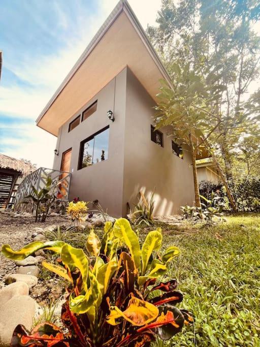 Casa Noil, Beautiful Eco House Near The Beach! Apartment Puerto Viejo de Talamanca Bagian luar foto